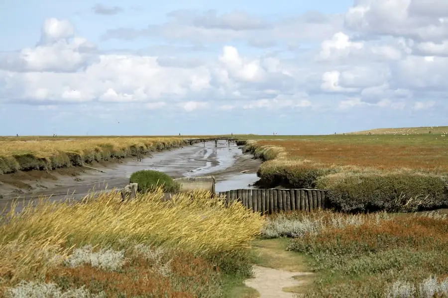 Leere Landschaft in Norddeutschland als Fachkräftemangelsymbol